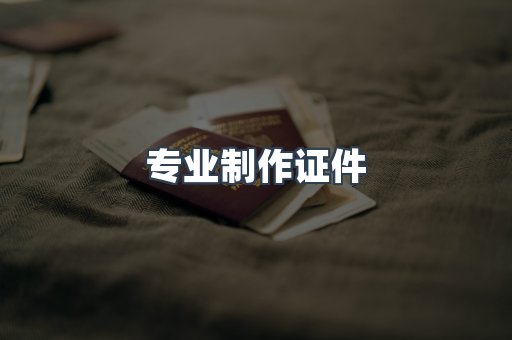 专业制作证件